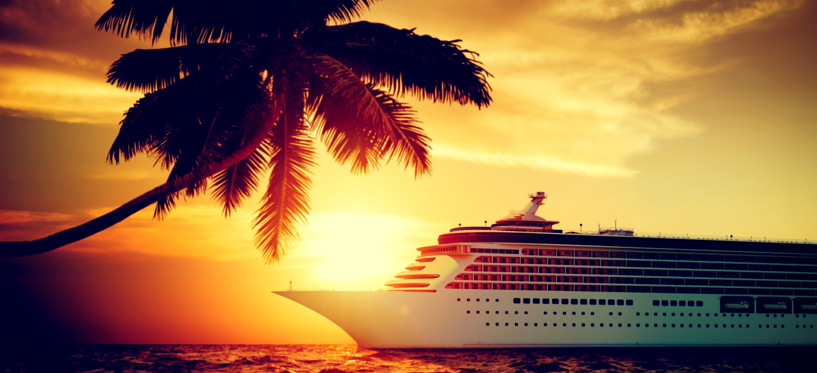 A cruise ship and a palm tree during golden hour