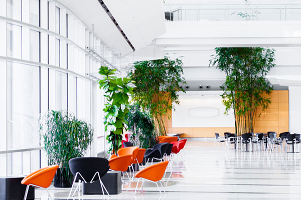 A wide office corridor with chairs, tables and plants