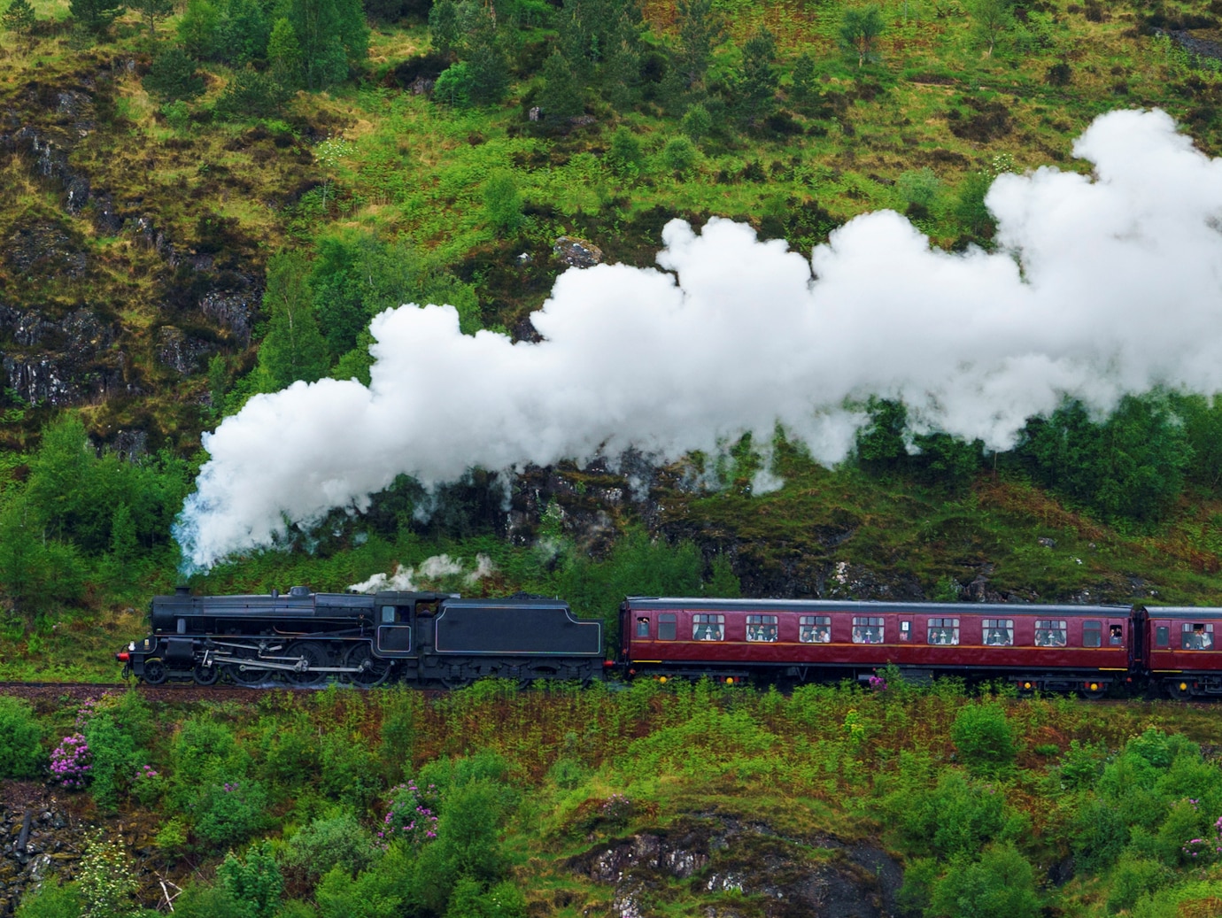 Steam train passing through a lush valley